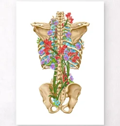 Rückenskelett Anatomie - Floral - Weiß | Codex Anatomicus Outlet