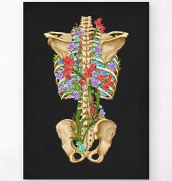 Rückenskelett Anatomie - Floral - Schwarz | Codex Anatomicus Hot