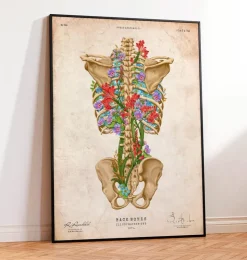 Rückenskelett Anatomie II - Floral - Vintage | Codex Anatomicus Clearance