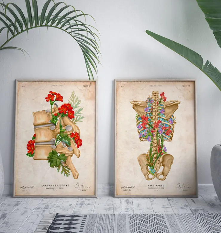Rückenskelett Anatomie II - Floral - Vintage | Codex Anatomicus Clearance