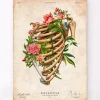 Rippenbruch - Floral - Vintage | Codex Anatomicus Best