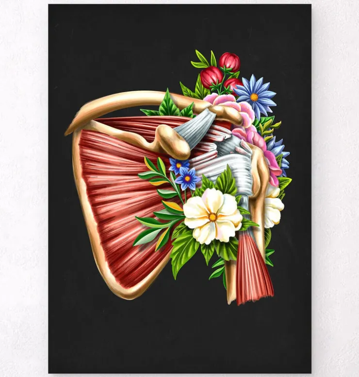 Rotatorenmanschettenruptur - Floral - Schwarz | Codex Anatomicus Hot