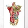 Rumpfmuskulatur und Knochen - Floral - Weiß | Codex Anatomicus New