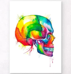 Schädel - Aquarell | Codex Anatomicus Outlet