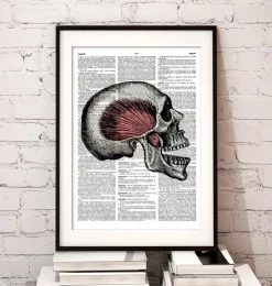 Schädel Anatomie - Wörterbuch | Codex Anatomicus Fashion