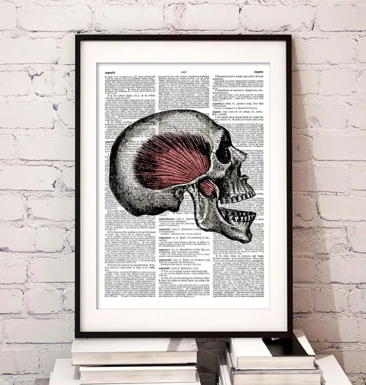 Schädel Anatomie - Wörterbuch | Codex Anatomicus Fashion