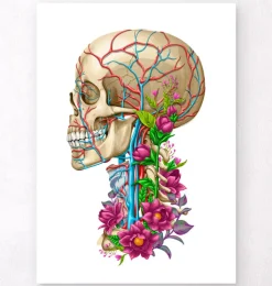 Schädel Anatomie II - Floral - Weiß | Codex Anatomicus Hot