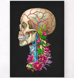 Schädel Anatomie II - Floral - Schwarz | Codex Anatomicus Outlet