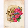 Schädel Anatomie III - Floral - Vintage | Codex Anatomicus Hot