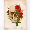 Schädel Anatomie IV - Floral - Vintage | Codex Anatomicus New