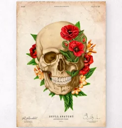 Schädel Anatomie IV - Floral - Vintage | Codex Anatomicus New