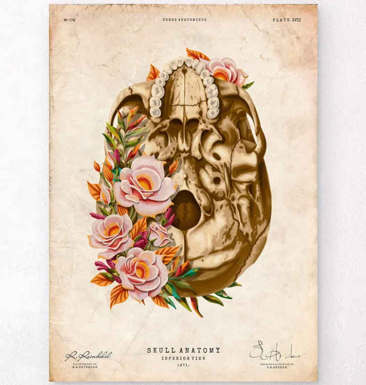 Schädel Anatomie V - Floral - Vintage | Codex Anatomicus Fashion