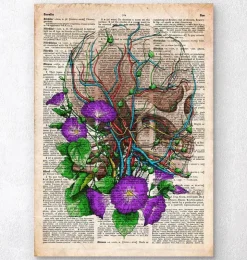 Schädel mit Blumen - Altes Wörterbuch | Codex Anatomicus Best