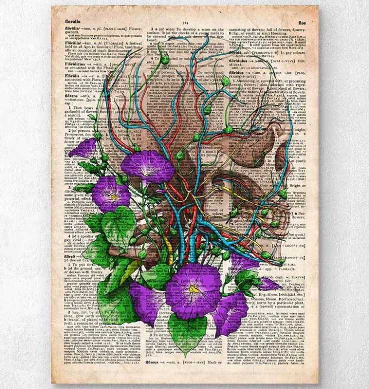 Schädel mit Blumen - Altes Wörterbuch | Codex Anatomicus Best