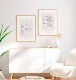 Schädel sagittale Ansicht - Line-Art | Codex Anatomicus Sale