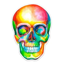 Schädelaufkleber - Aquarell | Codex Anatomicus Online