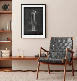 Schienbein und Wadenbein - Chalkboard | Codex Anatomicus Sale