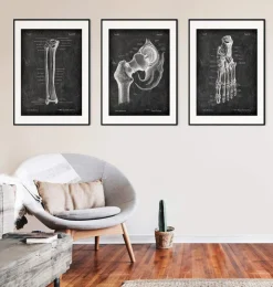 Schienbein und Wadenbein - Chalkboard | Codex Anatomicus Sale