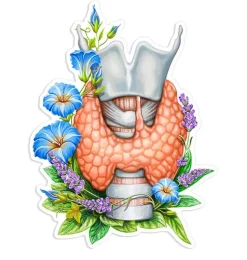 Schilddrüsen Anatomie Aufkleber - Blumen | Codex Anatomicus Discount