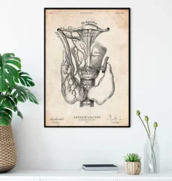 Schilddrüsenanatomie Kunst | Codex Anatomicus Sale