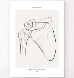 Schulter Anatomie - Line-Art | Codex Anatomicus Sale