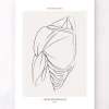 Schulter Anatomie - Line-Art | Codex Anatomicus Outlet