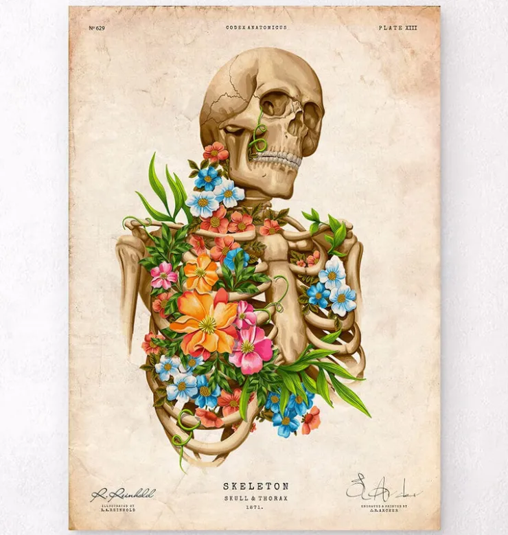 Skelett Anatomie - Floral - Vintage | Codex Anatomicus Hot