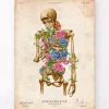Skelett Anatomie II - Floral - Vintage | Codex Anatomicus Clearance