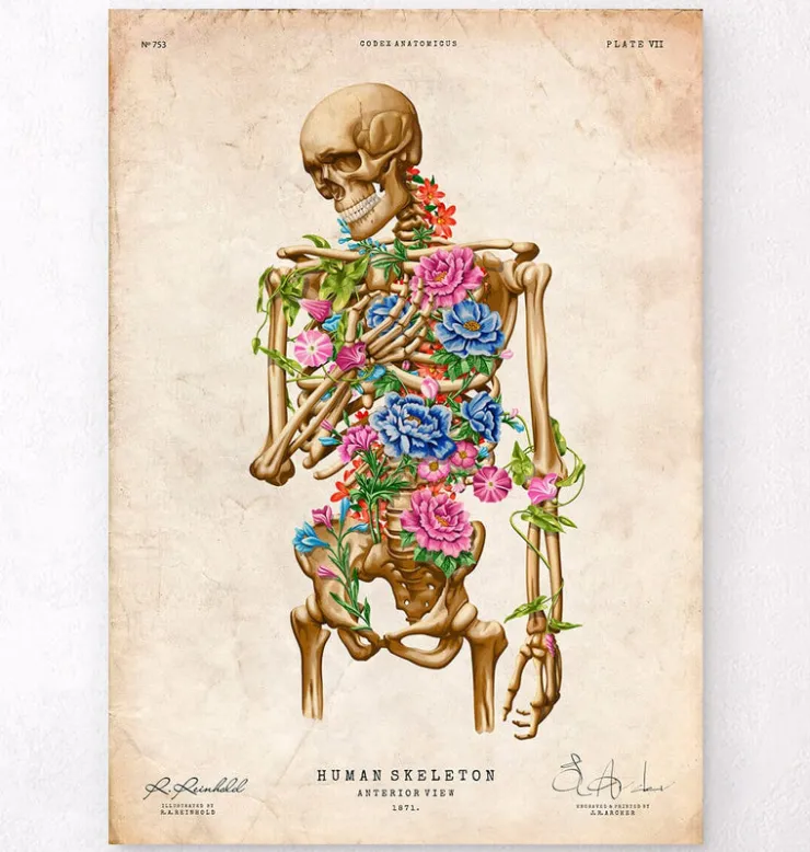Skelett Anatomie II - Floral - Vintage | Codex Anatomicus Clearance
