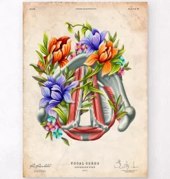 Stimmbänder - Floral - Vintage | Codex Anatomicus New