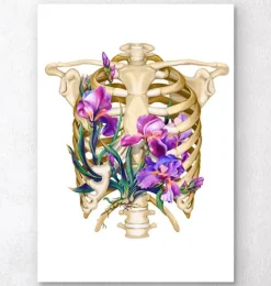 Thorax Anatomie - Floral - Weiß | Codex Anatomicus Online