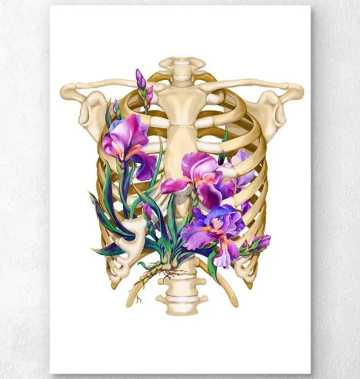 Thorax Anatomie - Floral - Weiß | Codex Anatomicus Online