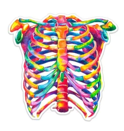 Thorax Anatomie Aufkleber - Aquarell | Codex Anatomicus Best