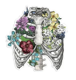 Thorax Anatomie Aufkleber III - Floral | Codex Anatomicus New