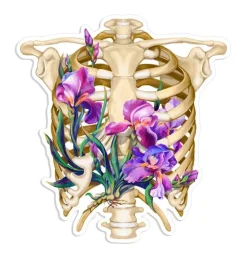 Thorax Anatomie Aufkleber - Floral | Codex Anatomicus Discount