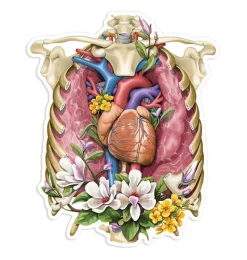 Thorax Anatomie Aufkleber - Floral | Codex Anatomicus New