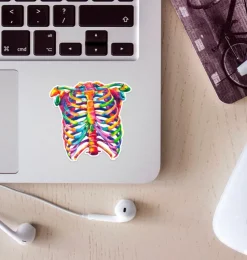 Thorax Anatomie Aufkleber - Aquarell | Codex Anatomicus Best
