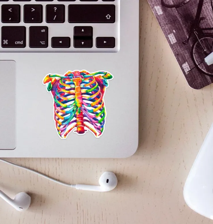 Thorax Anatomie Aufkleber - Aquarell | Codex Anatomicus Best