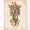 Thorax Anatomie II - Floral - Vintage | Codex Anatomicus Hot
