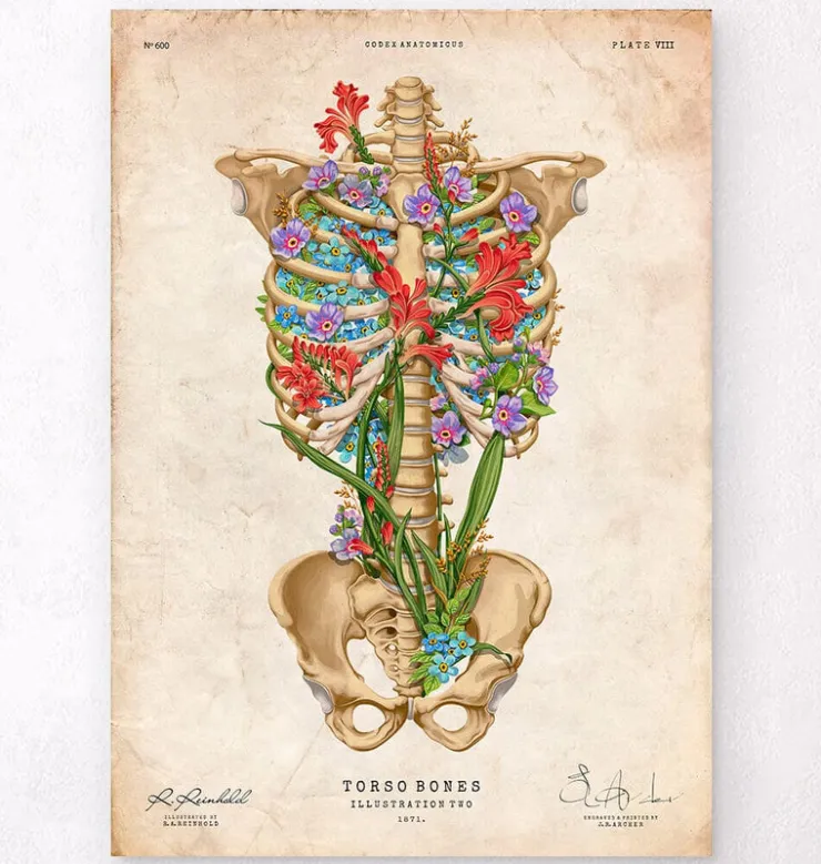 Thorax Anatomie II - Floral - Vintage | Codex Anatomicus Hot