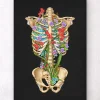 Thorax Anatomie II - Floral - Schwarz | Codex Anatomicus New