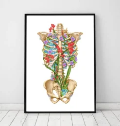 Thorax Anatomie II - Floral - Weiß | Codex Anatomicus Sale