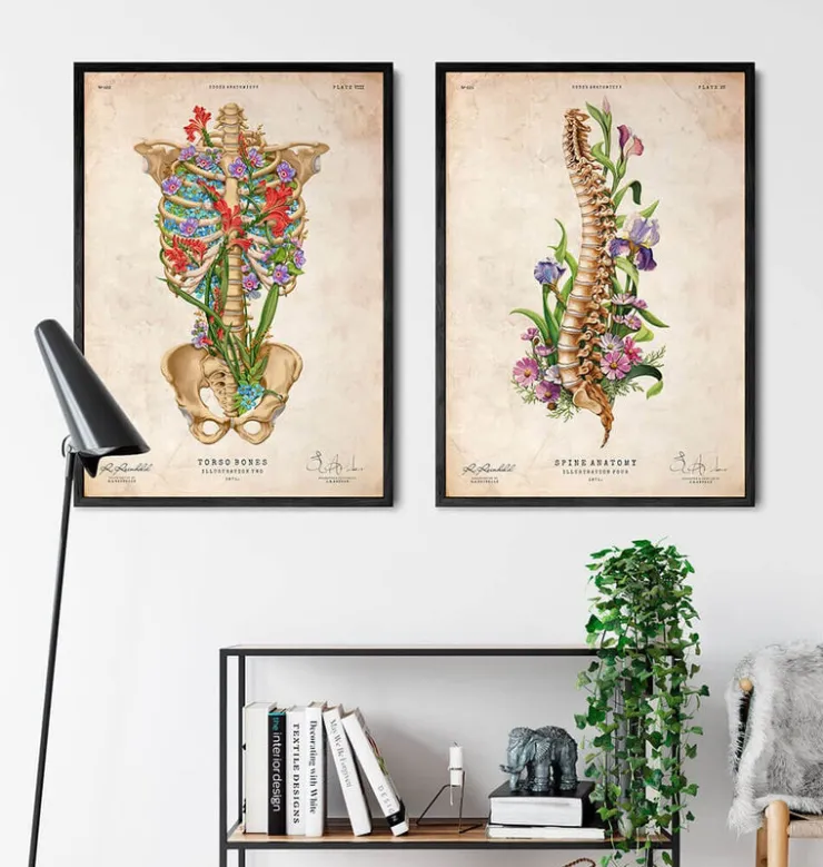 Thorax Anatomie II - Floral - Vintage | Codex Anatomicus Hot