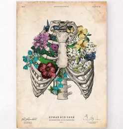 Thorax Kunst - Bunt | Codex Anatomicus Discount