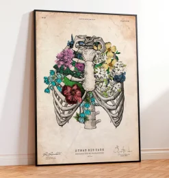 Thorax Kunst - Bunt | Codex Anatomicus Discount