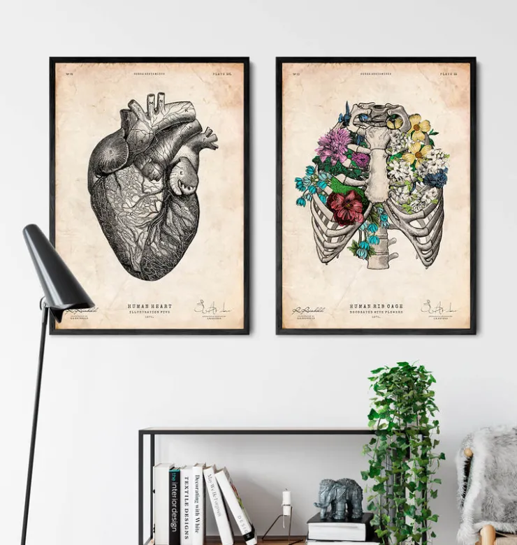 Thorax Kunst - Bunt | Codex Anatomicus Discount
