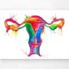 Uterus Anatomie - Aquarell | Codex Anatomicus Discount