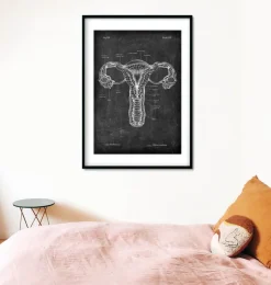 Uterus Anatomie - Chalkboard | Codex Anatomicus New