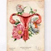 Uterus Anatomie - Floral - Altes Papier | Codex Anatomicus Best