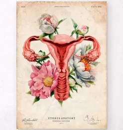 Uterus Anatomie - Floral - Altes Papier | Codex Anatomicus Best
